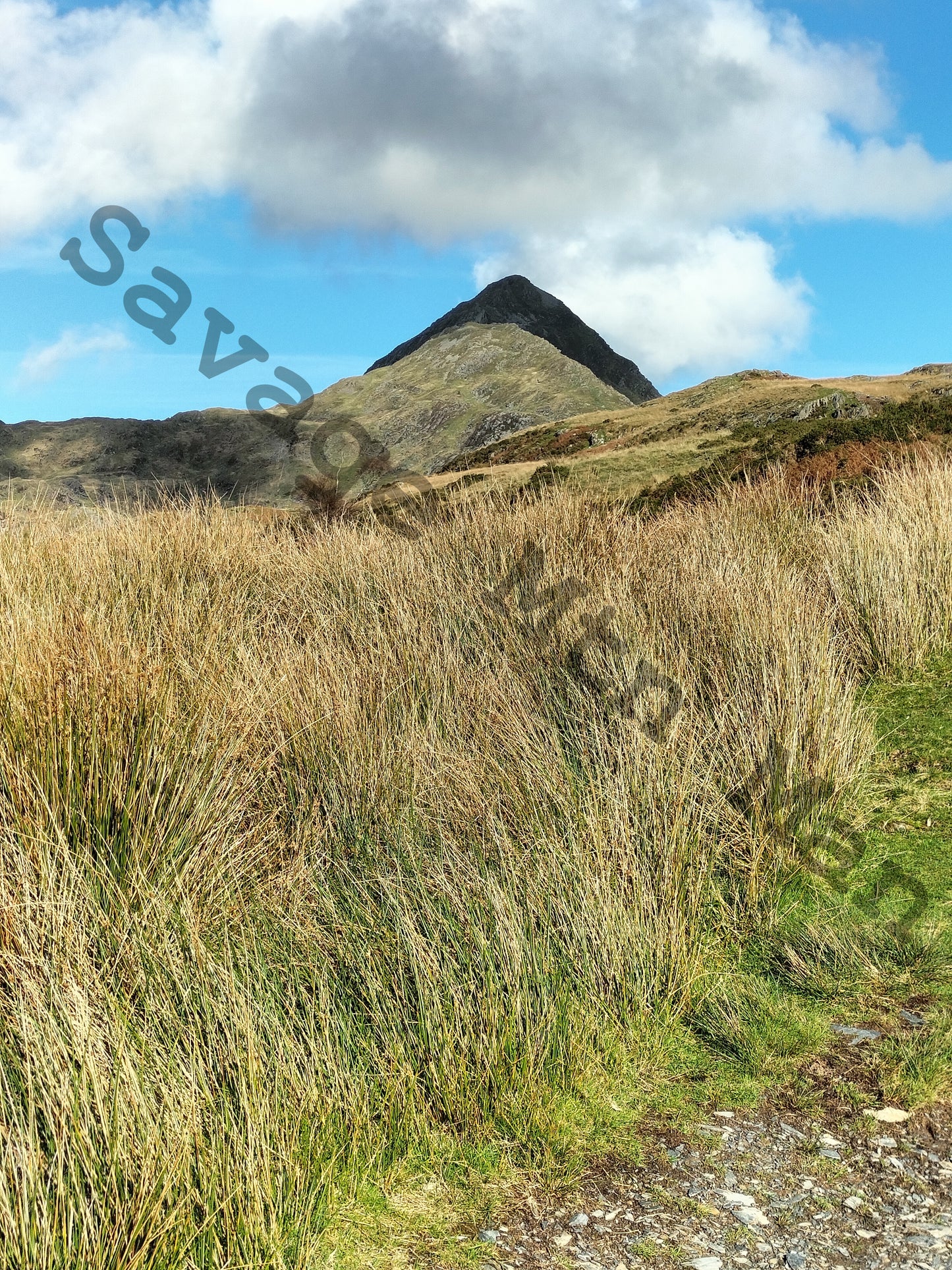 Cnicht Poster with Free Photo Download Full